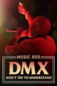 DMX: Don’t Try to Understand